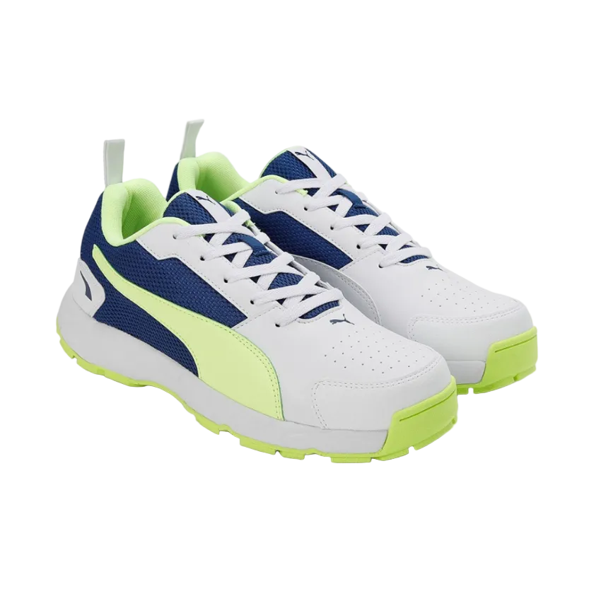 Puma Highrun Cricket Shoes