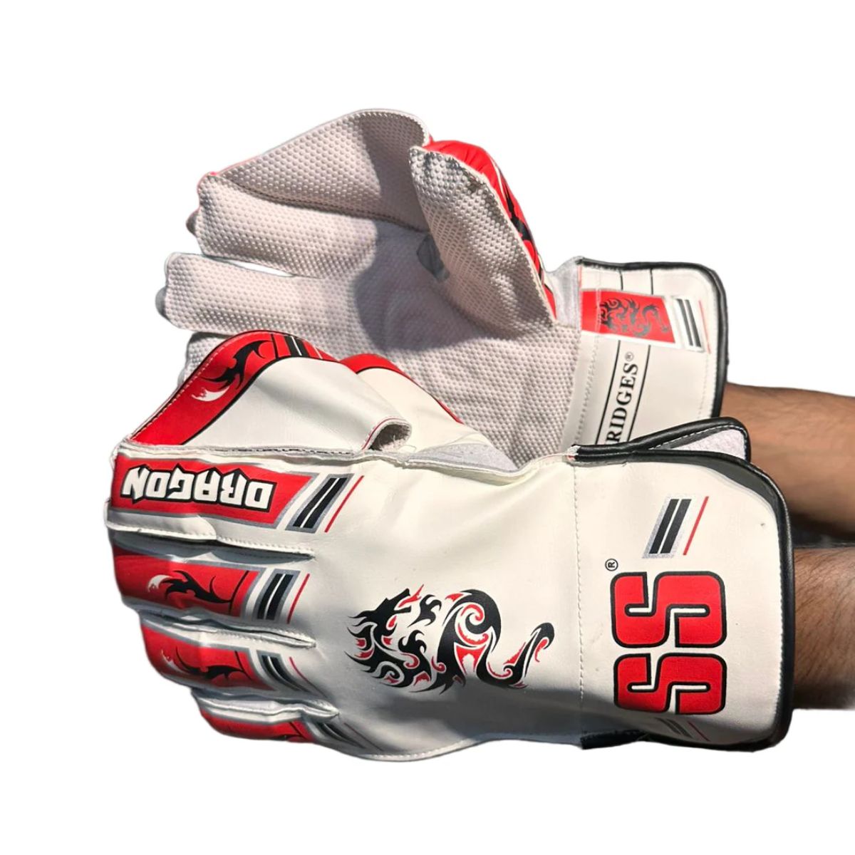 SS Dragon Cricket Keeping Gloves