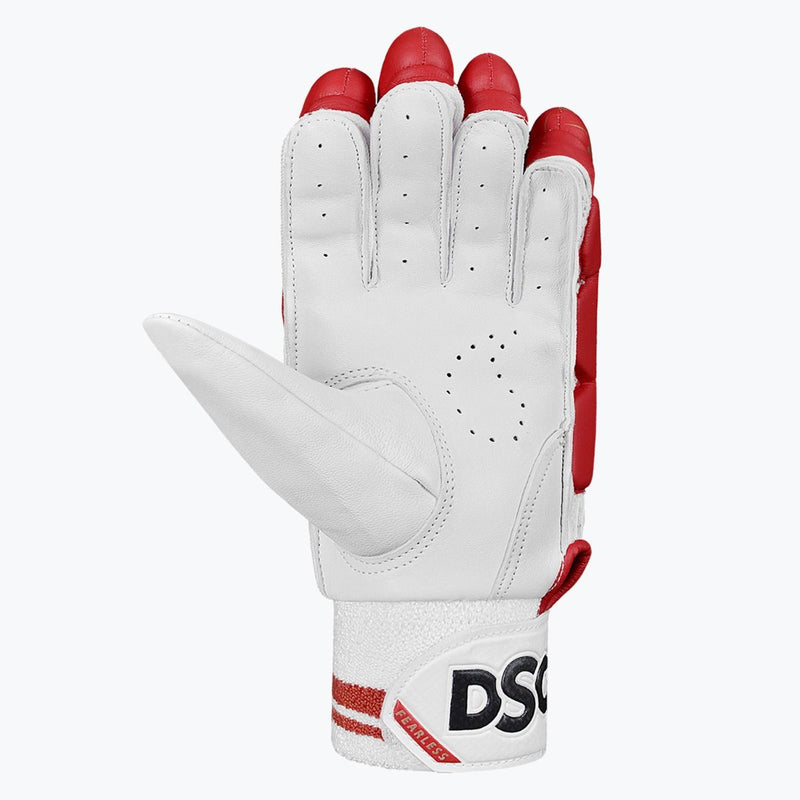 Load image into Gallery viewer, DSC Flite20/20 Cricket Batting Gloves Front View
