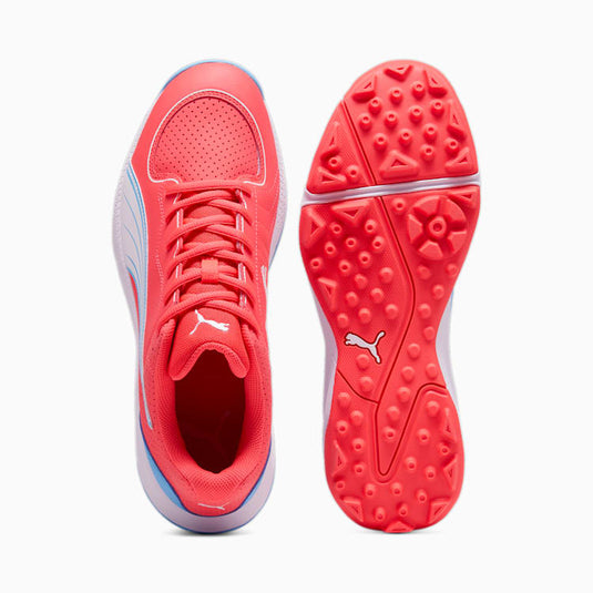 Buy Puma 24 FH Rubber Cricket Shoes Online SCS Sports