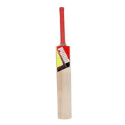 Puma Future STB 1.1 Kashmir Willow Cricket Bat