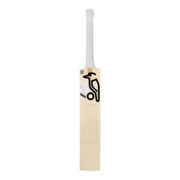 Kookaburra Ghost Marnus Labuschagne English Willo Cricket Bat