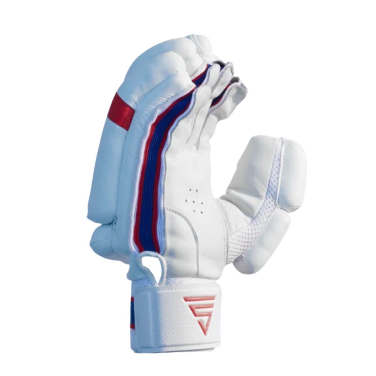 Versant Pro DG Cricket Batting Gloves