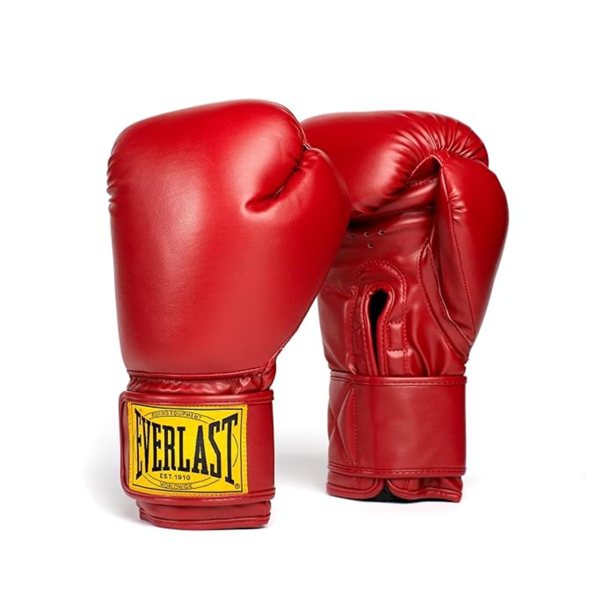 Everlast 1910 Classic Boxing Gloves
