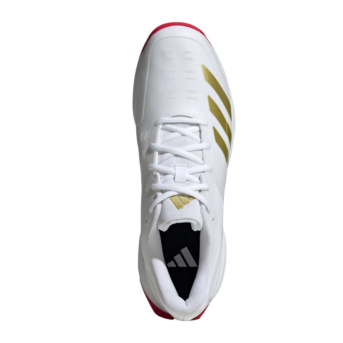 Adidas 22 YDS Cricket Shoes