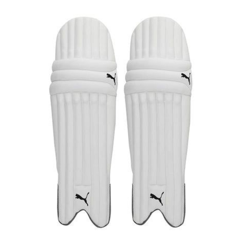 Load image into Gallery viewer, Puma Future 20.1 Starter Cricket Set
