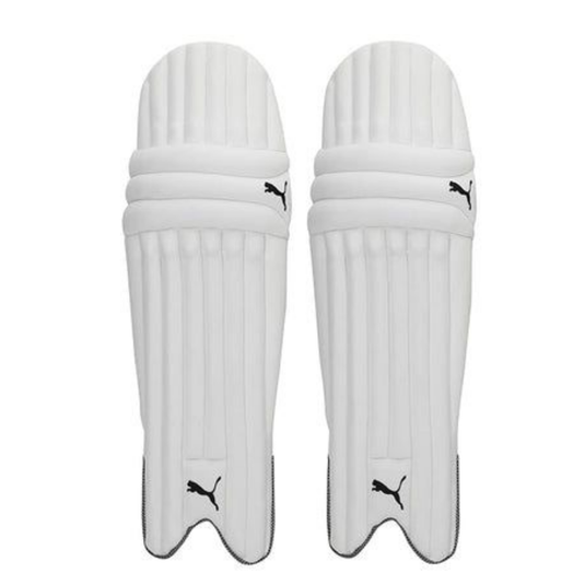 Puma Future 20.1 Starter Cricket Set