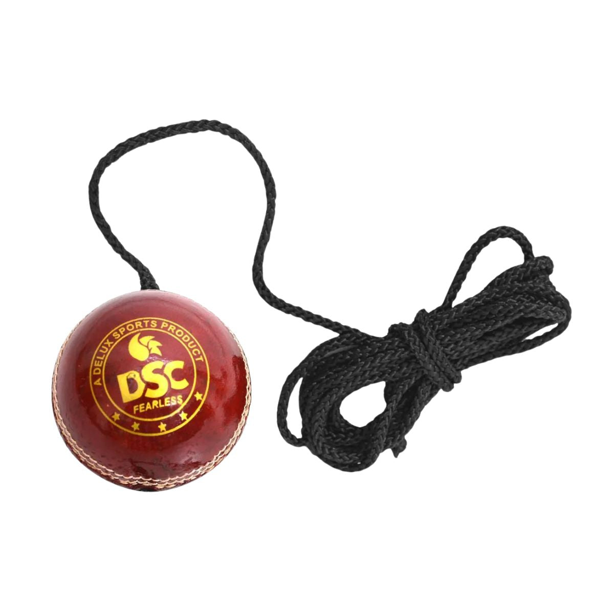DSC Hanging Cricket Leather Ball