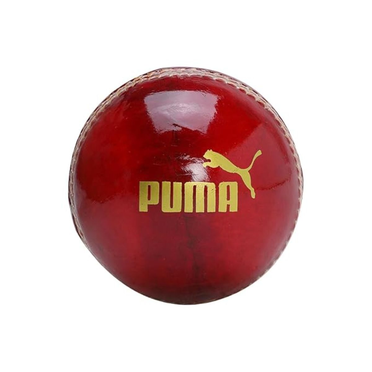 Puma Cricket Ball
