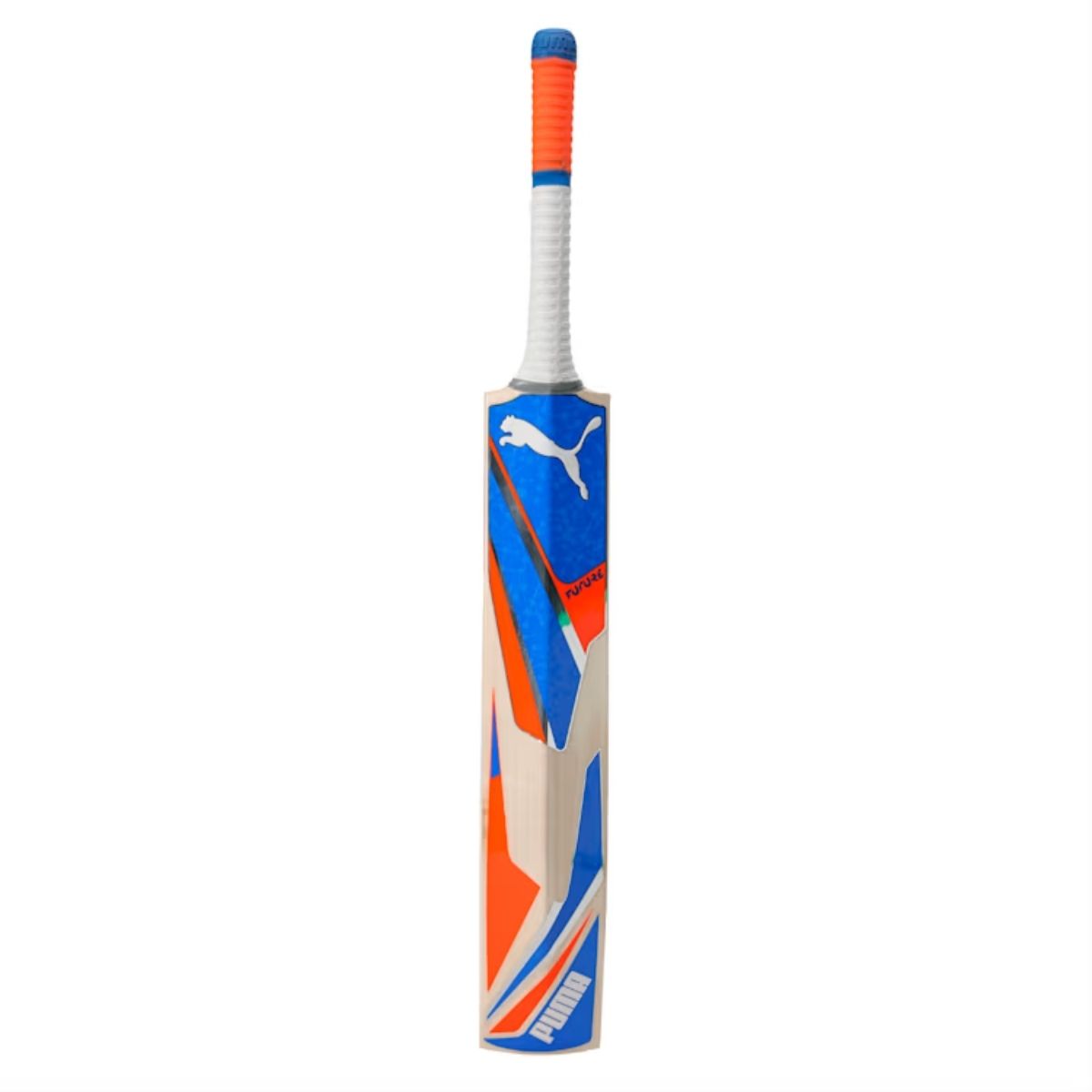 Puma Future 1.0 English Willow Cricket Bat