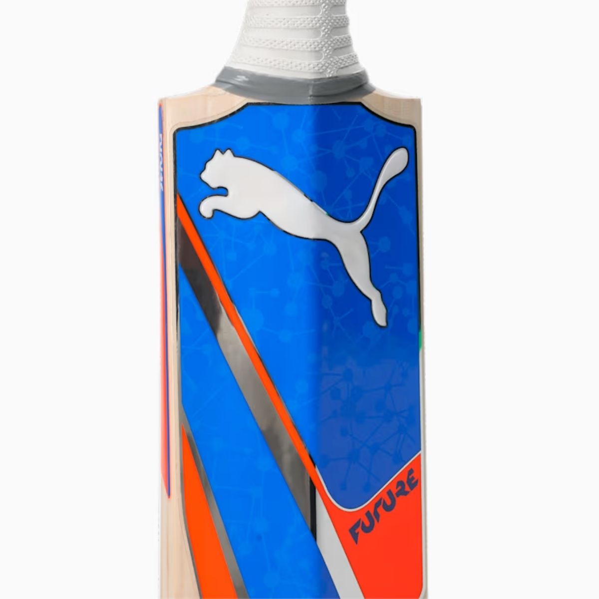 Puma Future 1.0 English Willow Cricket Bat