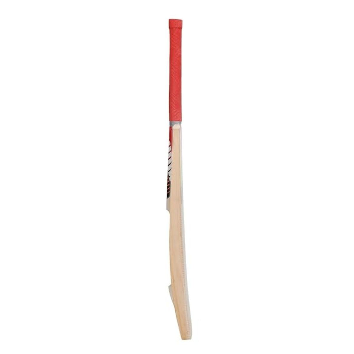 Puma Future STB 1.1 Kashmir Willow Cricket Bat