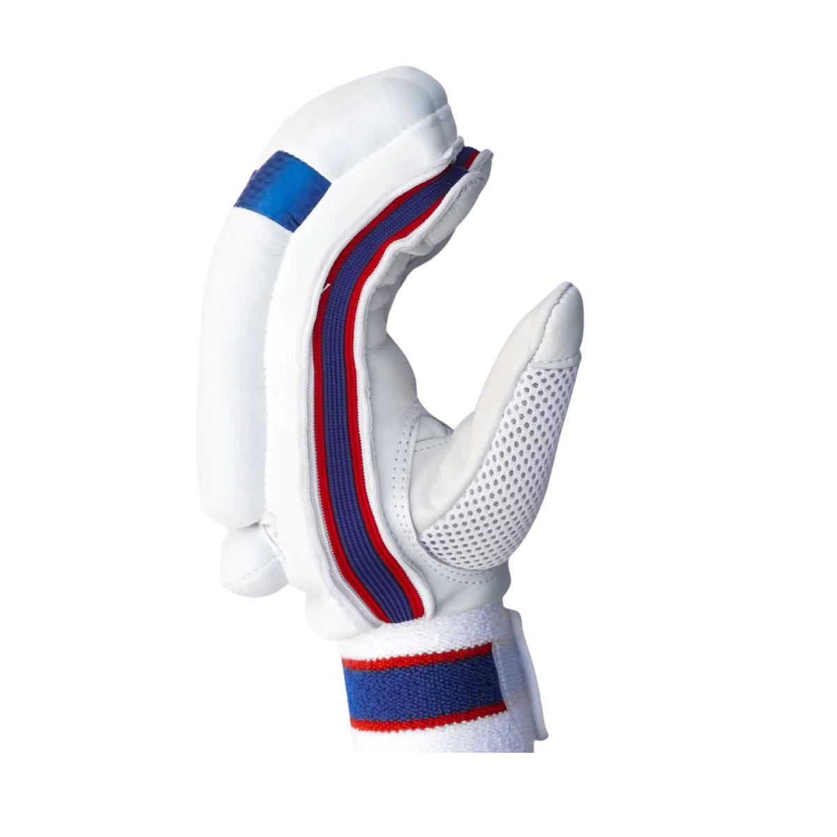 Versant Pro DG Cricket Batting Gloves