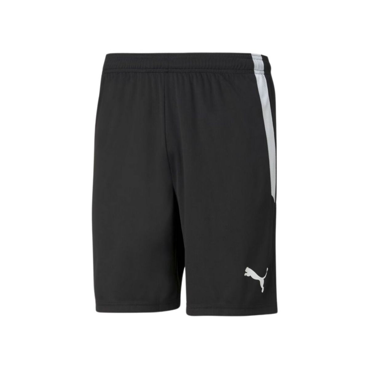 Puma Team Liga Shorts