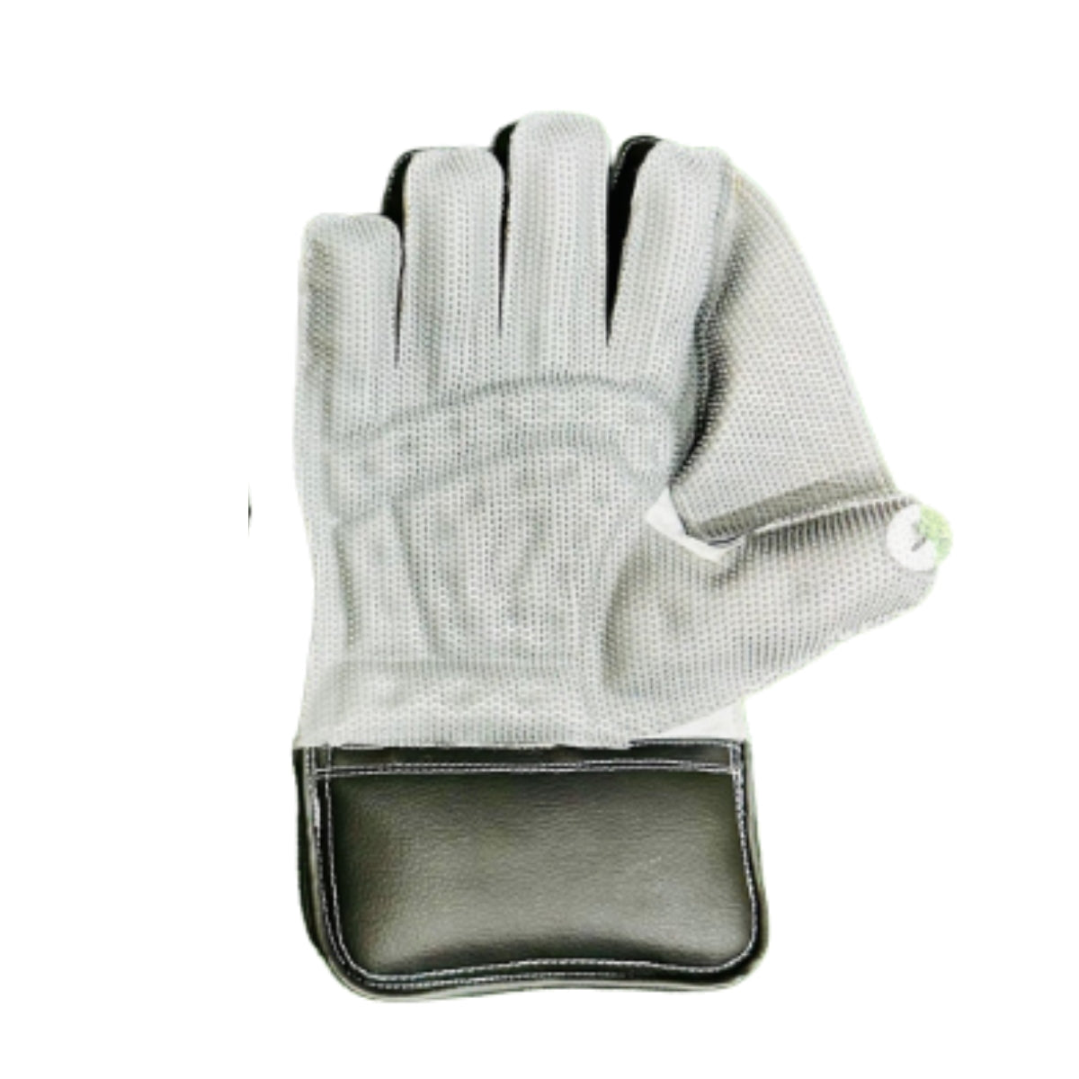 SS Academy Cricket Keeping Gloves