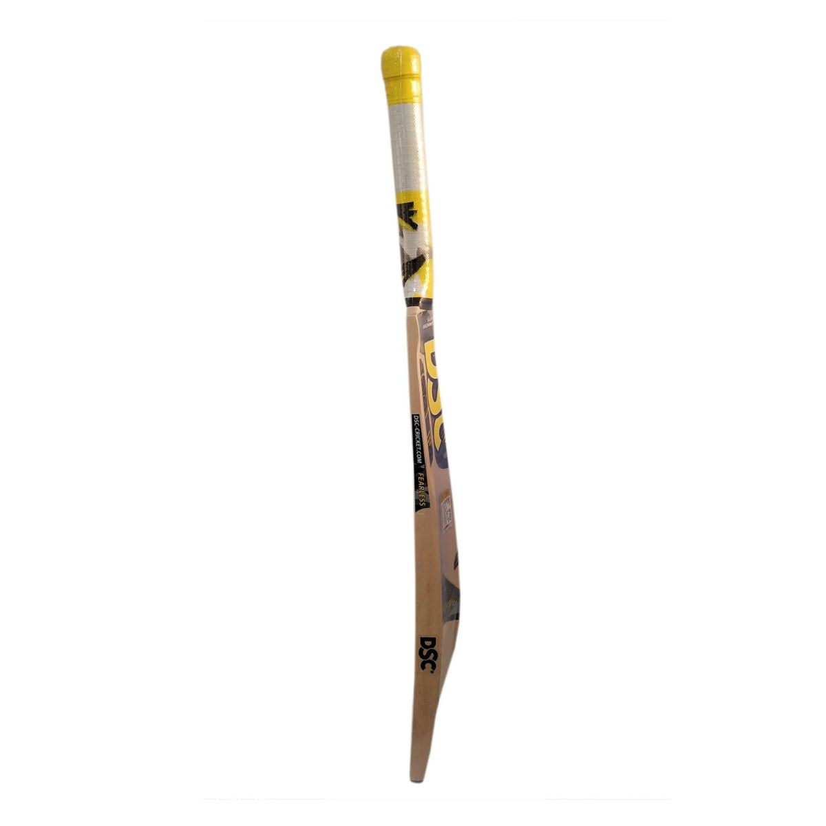 DSC Radius Kashmir Willow Cricket Bat