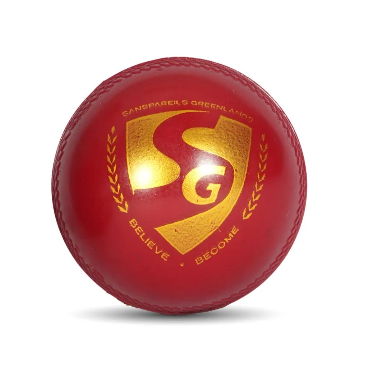 SG Everlast Tec Cricket Ball