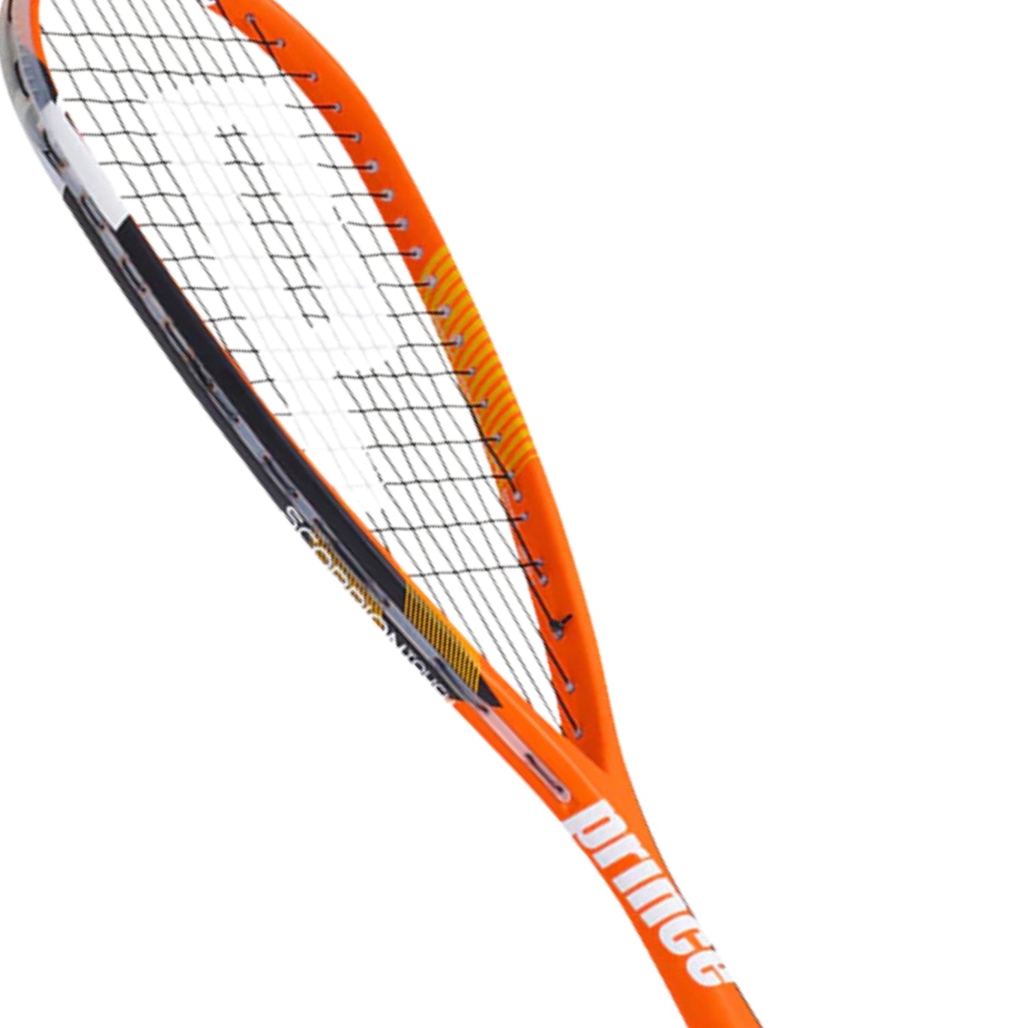 Buy Prince Scorpion Touch 350 Squash Racket Online SCS Sports