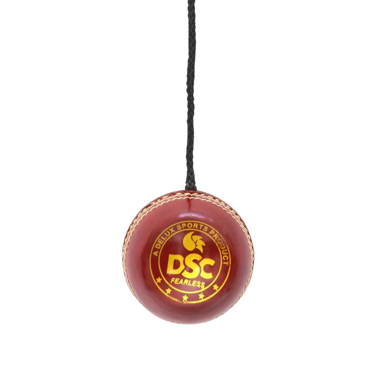 DSC Hanging Cricket Leather Ball