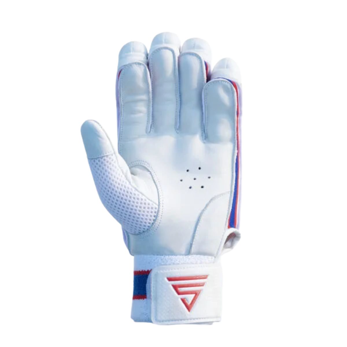 Versant Pro DG Cricket Batting Gloves