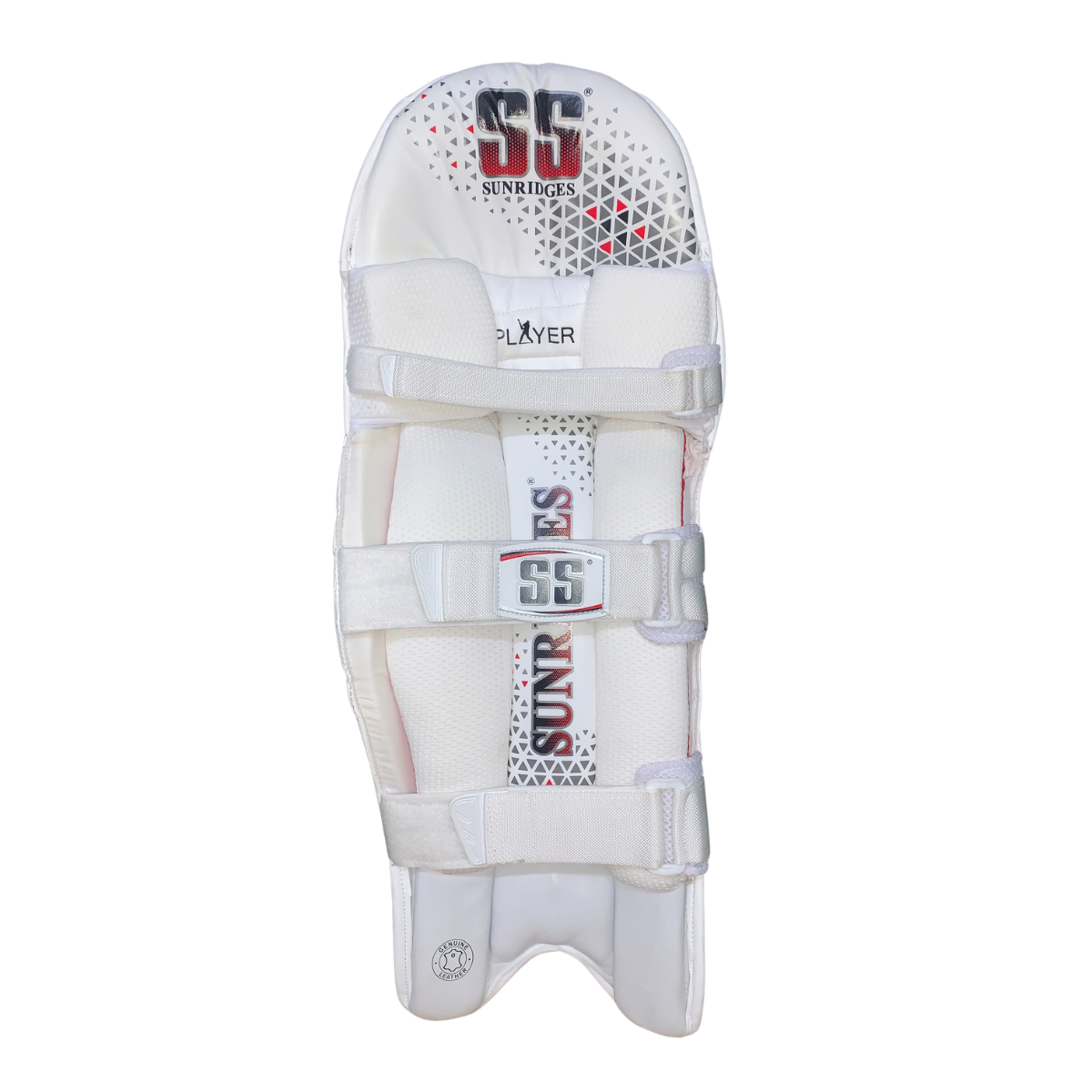 SS Players Cricket Batting Pads