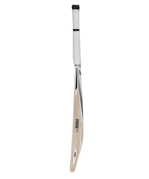 Puma Future JNR 2.1 English Willow Cricket Bat