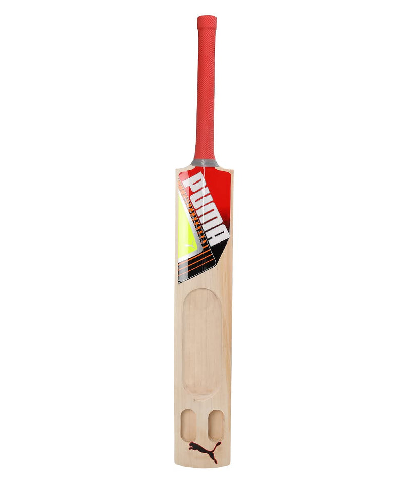 Load image into Gallery viewer, Puma Future STB 1.1 Kashmir Willow Cricket Bat
