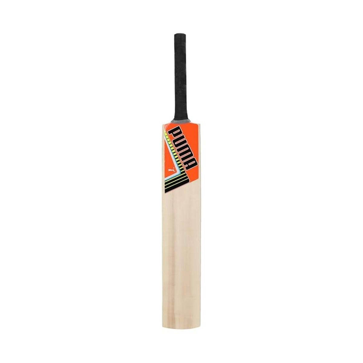 Puma Future STB 2.1 Kashmir Willow Cricket Bat (BOGO)
