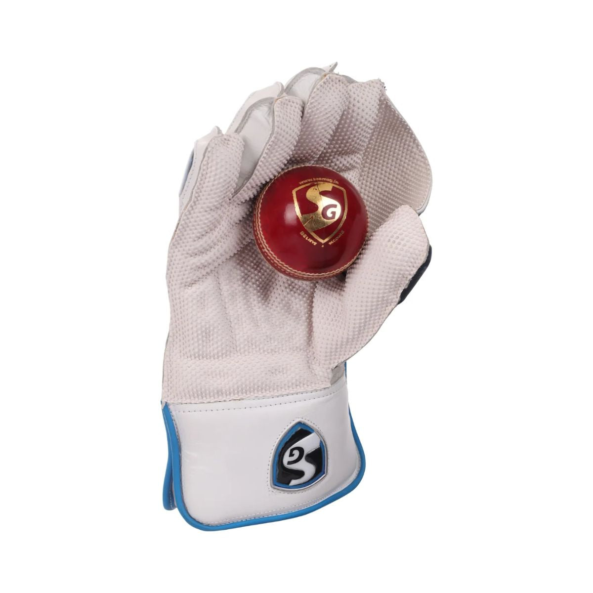 SG RSD Xtreme Cricket Keeping Gloves