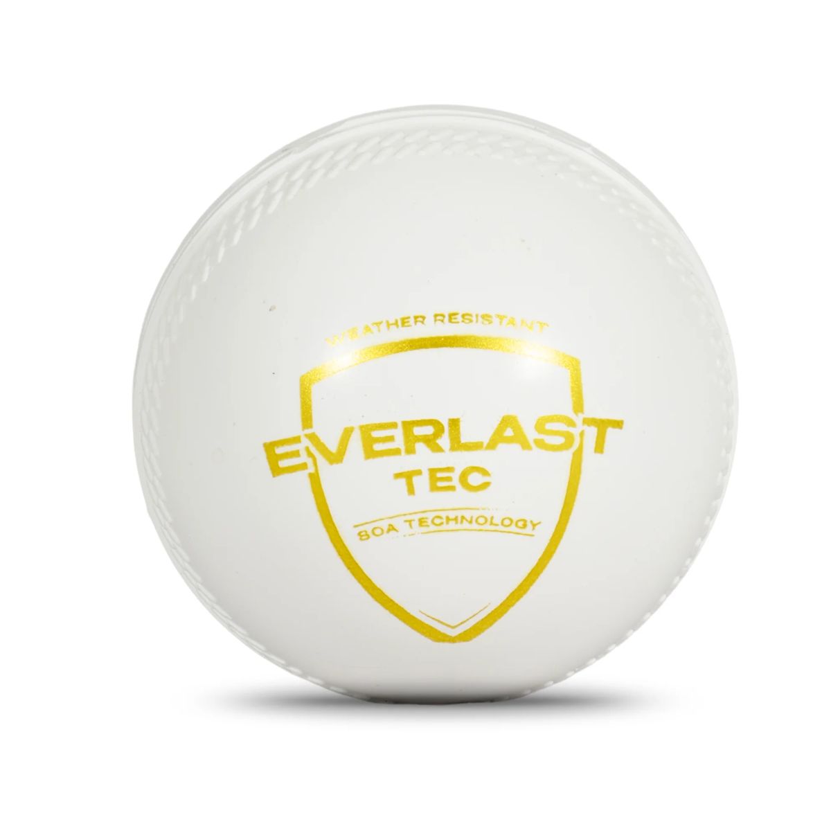 SG Everlast Tec Cricket Ball