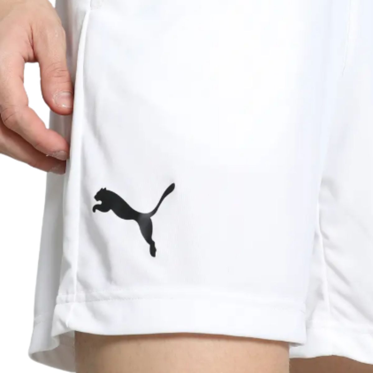 Puma Cricket Teamwear Shorts