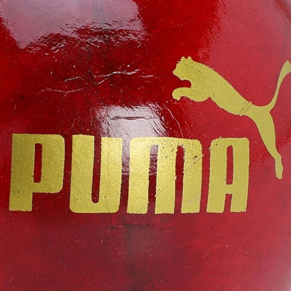 Puma Cricket Ball