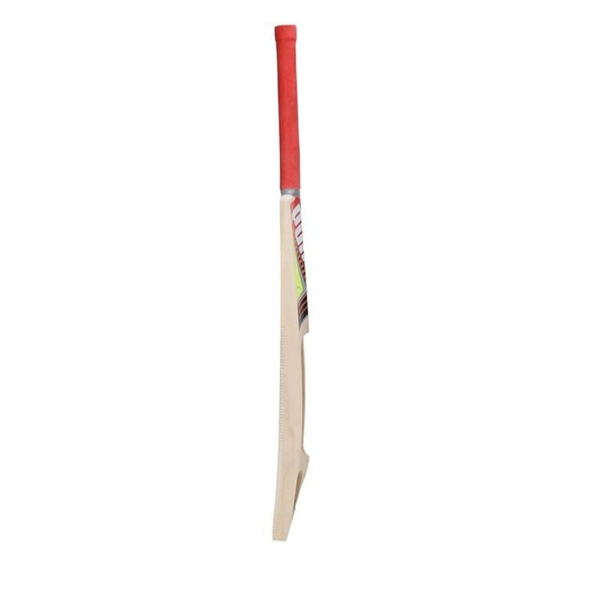 Puma Future STB 1.1 Kashmir Willow Cricket Bat