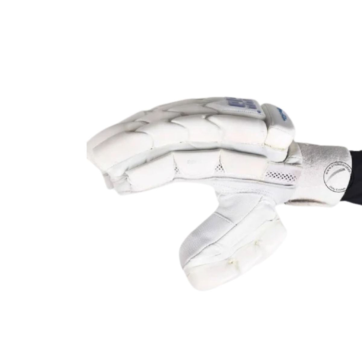 SS Reserve Edition Cricket Batting Gloves