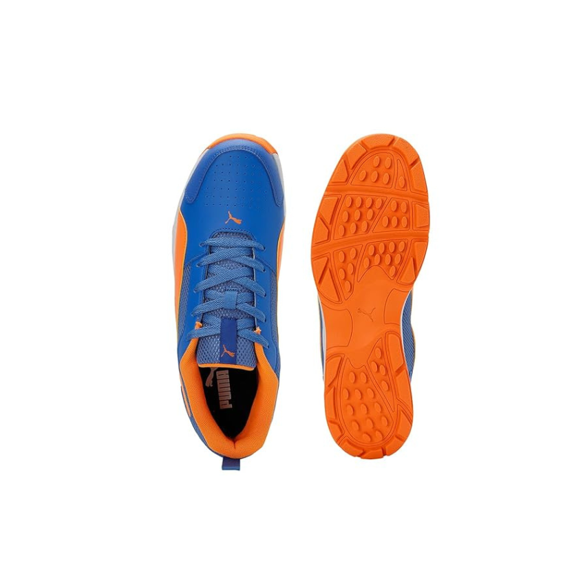 Puma Highrun Cricket Shoes