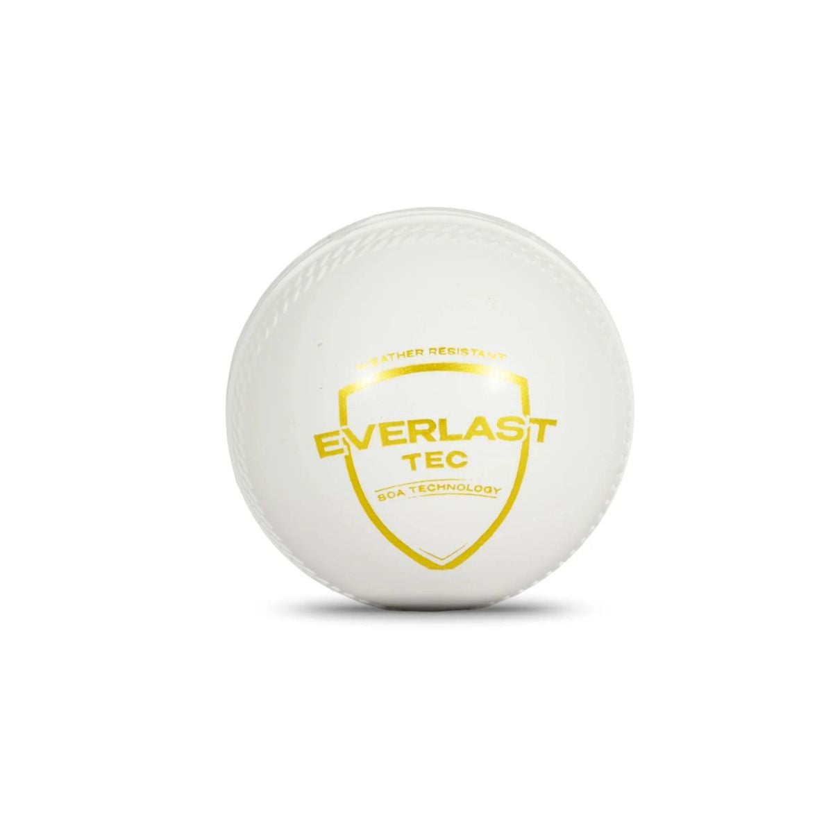 SG Everlast Tec Cricket Ball