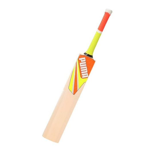 Puma Future 8.1 English Willow Cricket Bat