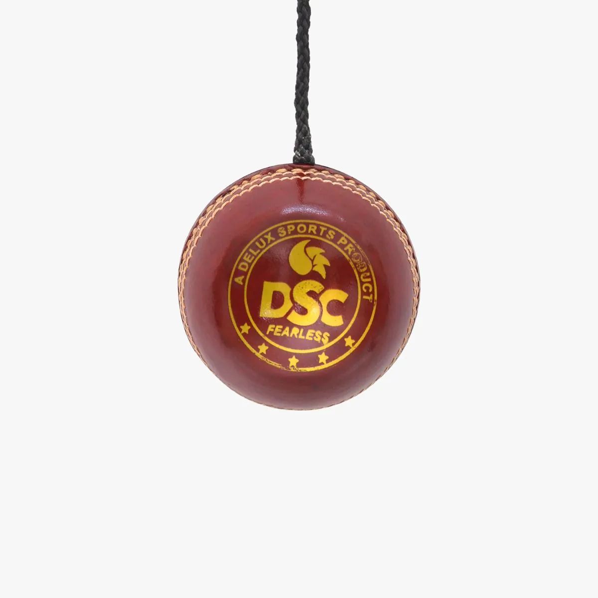 DSC Hanging Cricket Leather Ball