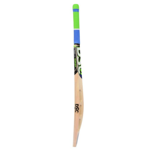 DSC Wildfire Fervor Kashmir Willow Cricket Bat