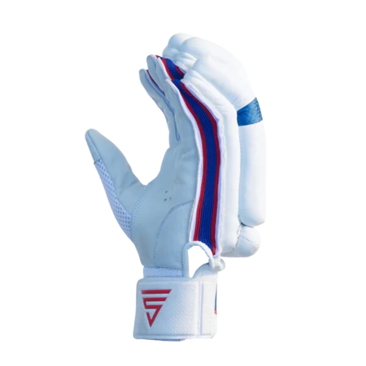 Versant Pro DG Cricket Batting Gloves