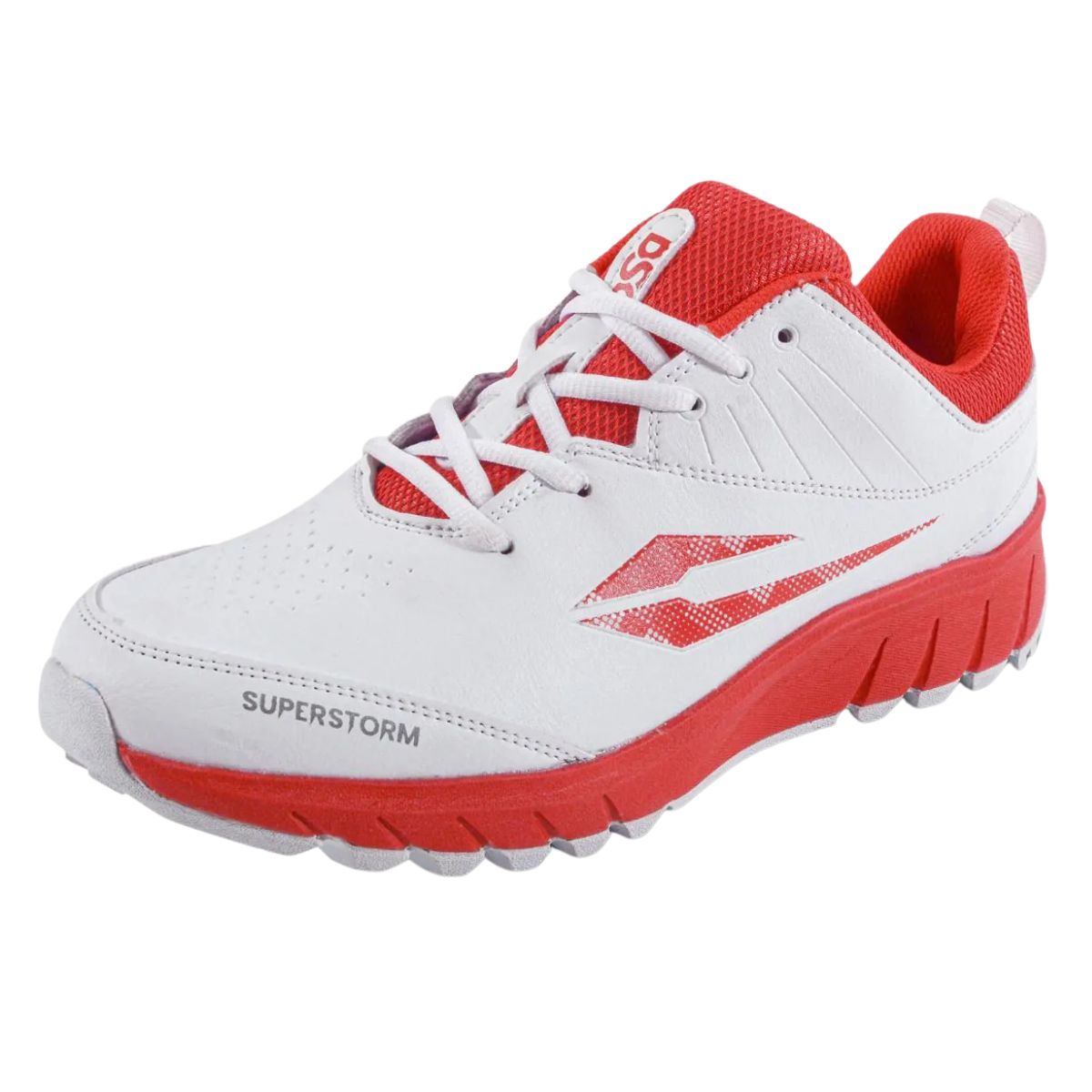 DSC Superstorm Cricket Shoes