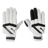 Puma Future 2.2 Batting Gloves