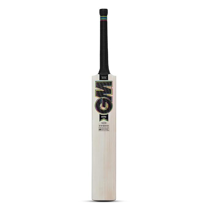 GM Hypa 909 English Willow Cricket Bat