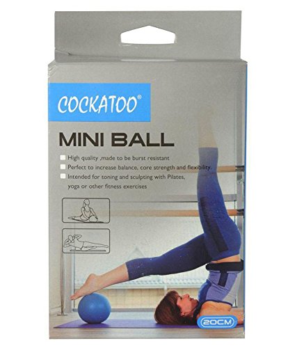 Cockatoo Mini Massager Ball