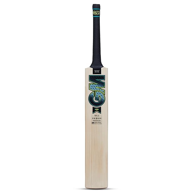 GM Aion 909 L.E. English Willow Cricket Bat