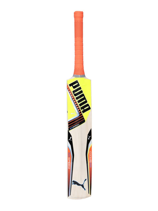 Puma Evospeed 2.5 16 Kashmir Willow Cricket Bat