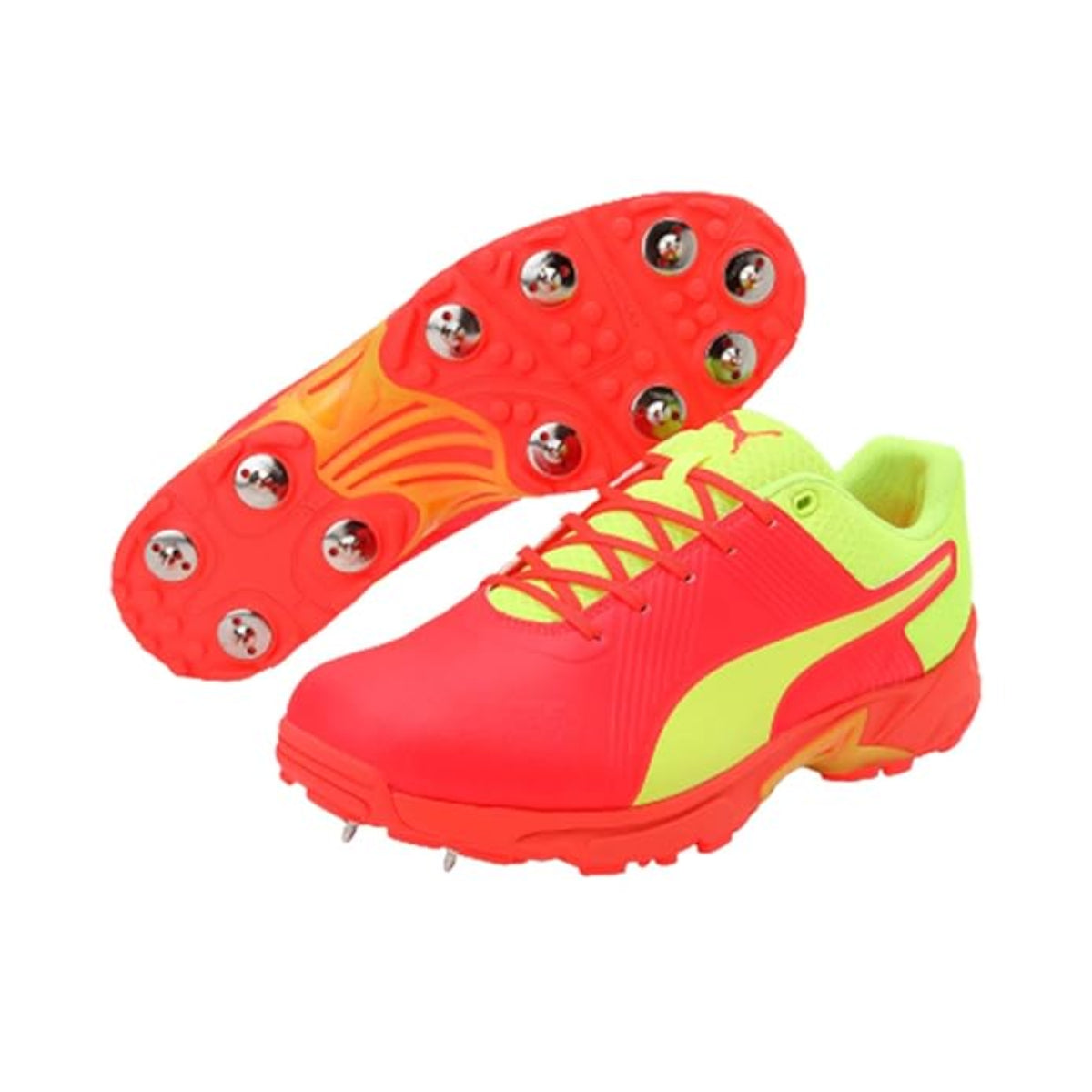 Puma Spike 19.2 Cricket Shoes