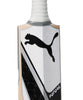 Puma Future 2.1 English Willow Cricket Bat