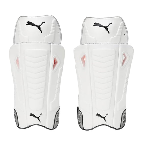 Puma Future 1 Wicket Keeping Pads Back Image