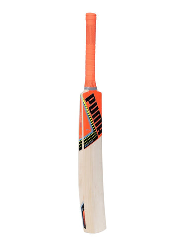 Puma Evospeed 2.5 16 Kashmir Willow Cricket Bat